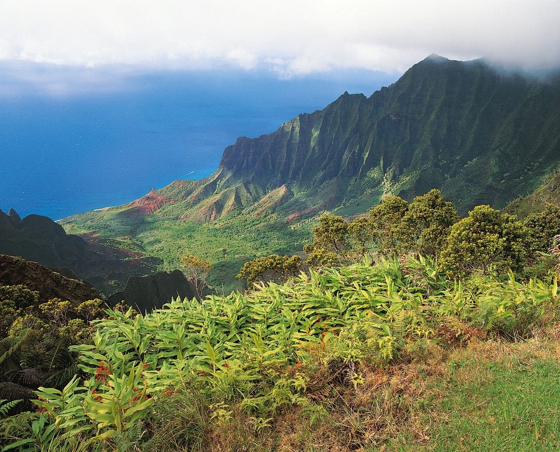 a view of the kalalau valley and the pacific ocean from the top of